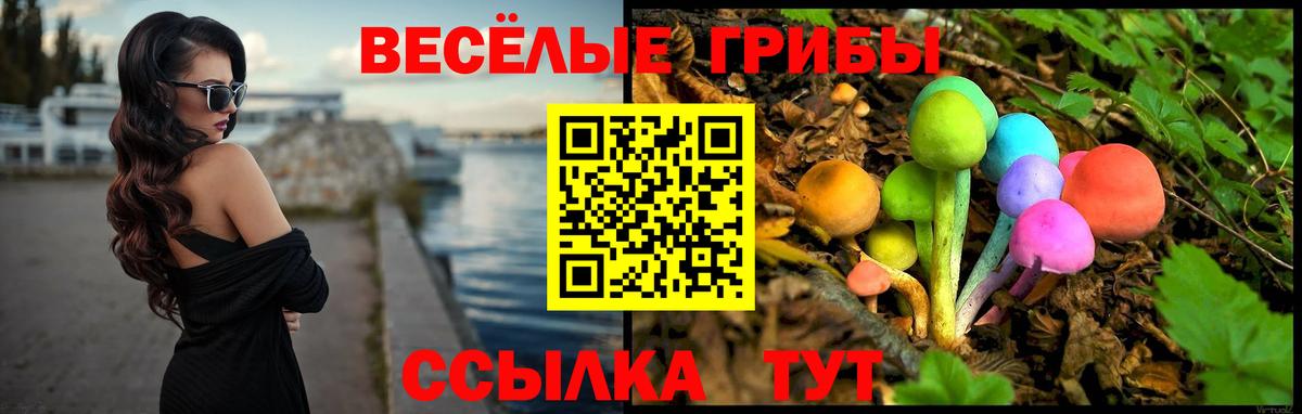 Псилоцибиновые грибы Psilocybine cubensis Горячий Ключ